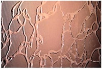Сузорье бронза suzore bronz