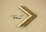 y5401-g29